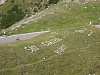 DSCN2260.jpg